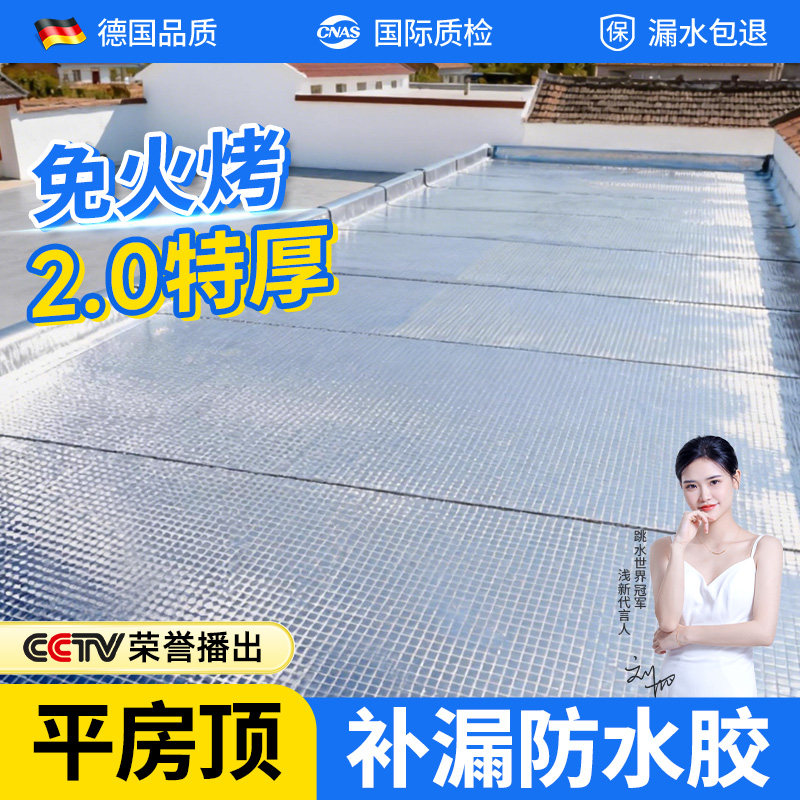 平房屋顶防水补漏材料丁基防水胶带楼房裂缝卷材强力耐老化防水贴,基础建材,防水卷材,淘宝优惠券,粉丝福利购,淘宝优惠卷