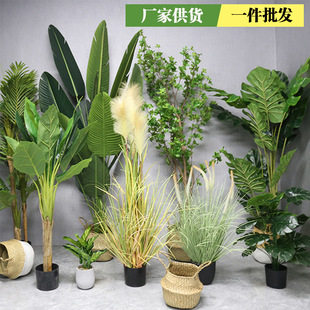 仿真花高级感逼真花卉绿植树植物盆栽室内装饰旅人蕉假绿植盆景