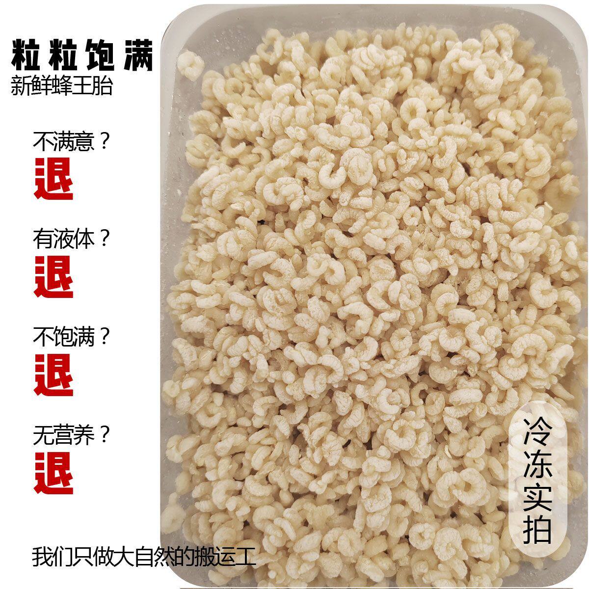 2026新鲜蜂王胎蜂王幼虫无液体零添加零防腐原始胚胎蜜蜂蛹浆虫