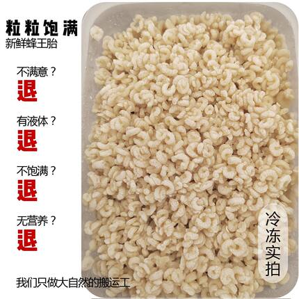2026新鲜蜂王胎蜂王幼虫无液体零添加零防腐原始胚胎蜜蜂蛹浆虫