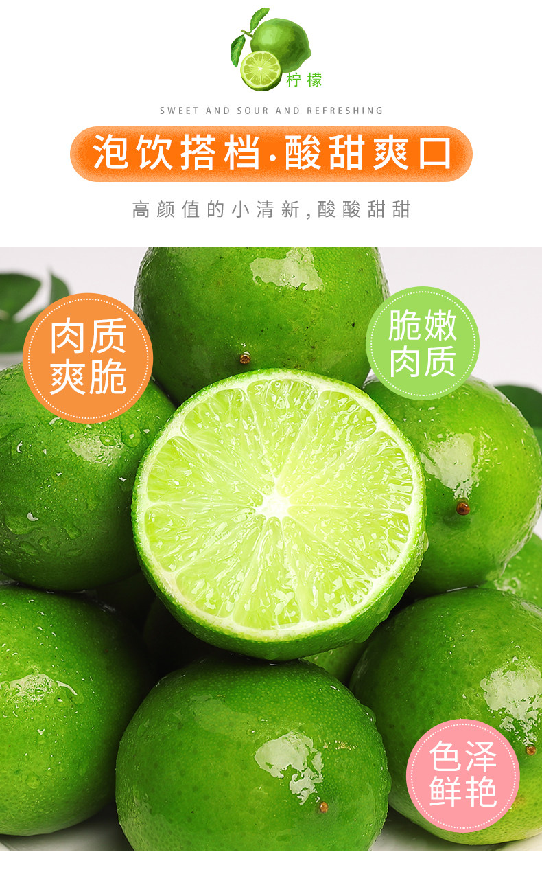 海南新鲜青柠檬免邮皮薄多汁小青柠香水绿色柠檬咖啡奶茶店专用