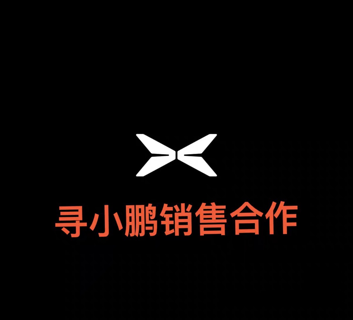 小鹏试驾任务 提供新线索 给你号码你自己跑 选配5星好评图片