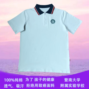 纯棉 长袖 广州暨南大学附属实验学校短袖 上衣秋装 包邮 校服夏装