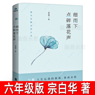 诗意纯真与美 宗白华著帮你找回在俗世中流失 美学随笔 艺术与思想 图书 细雨下 人生艺术美学精要正版 点碎落花声