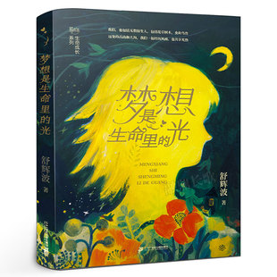 光 14岁儿童课外书籍二十一世纪出版 舒辉波著 百班千人小学生6年级阅读书目12 集团kq48 六年级共读书 梦想是生命里