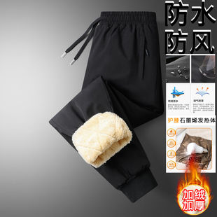 子 登山软壳长裤 冲锋裤 女防水防风骑行防寒加绒加厚保暖羊羔绒棉裤