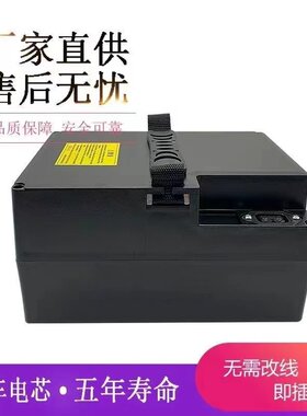 星恒同款天能48v20ah原装锂电池爱玛小刀新日绿源小刀雅迪电动车