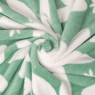 夏季珊瑚绒毛毯加厚法兰绒1.8m床单人薄款毛巾小被子午睡空调毯子
