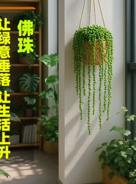 佛珠多肉框情绪绿植吊篮阳台窗户悬挂式花架长藤吊兰室内盆栽植物