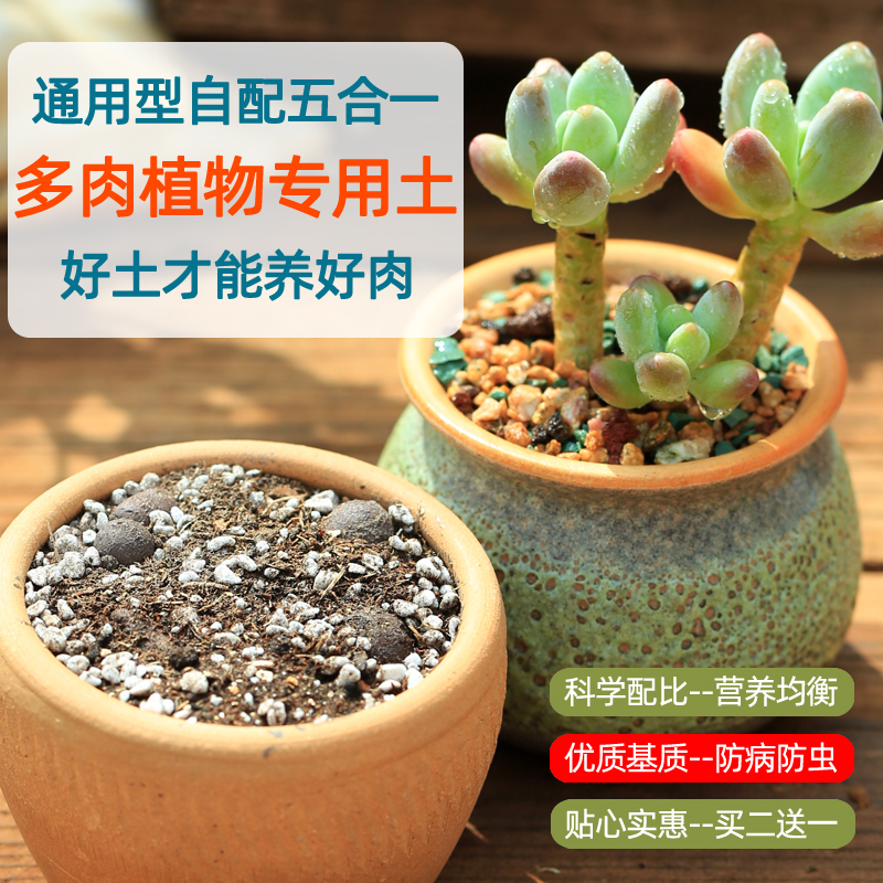 多肉植物种植专用营养土铺面石