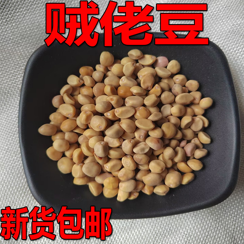 无硫贼佬豆金丝指葫芦子广西药材华佗豆小偷豆跌打豆拐子豆一斤包