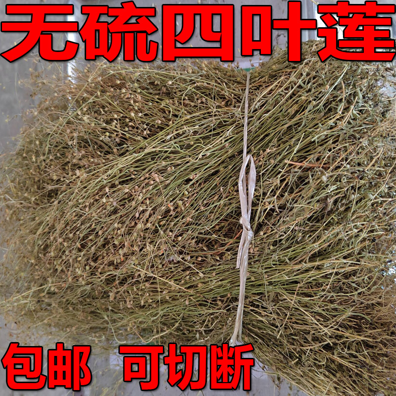 无硫四叶莲药材野生田字草干货四叶菜四叶苹四合莲 一斤包邮可切