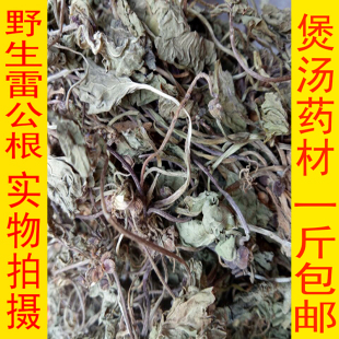 无硫药材雷公根新鲜积雪草崩大碗灯盏菜马蒂艹天胡荽500g一斤包邮