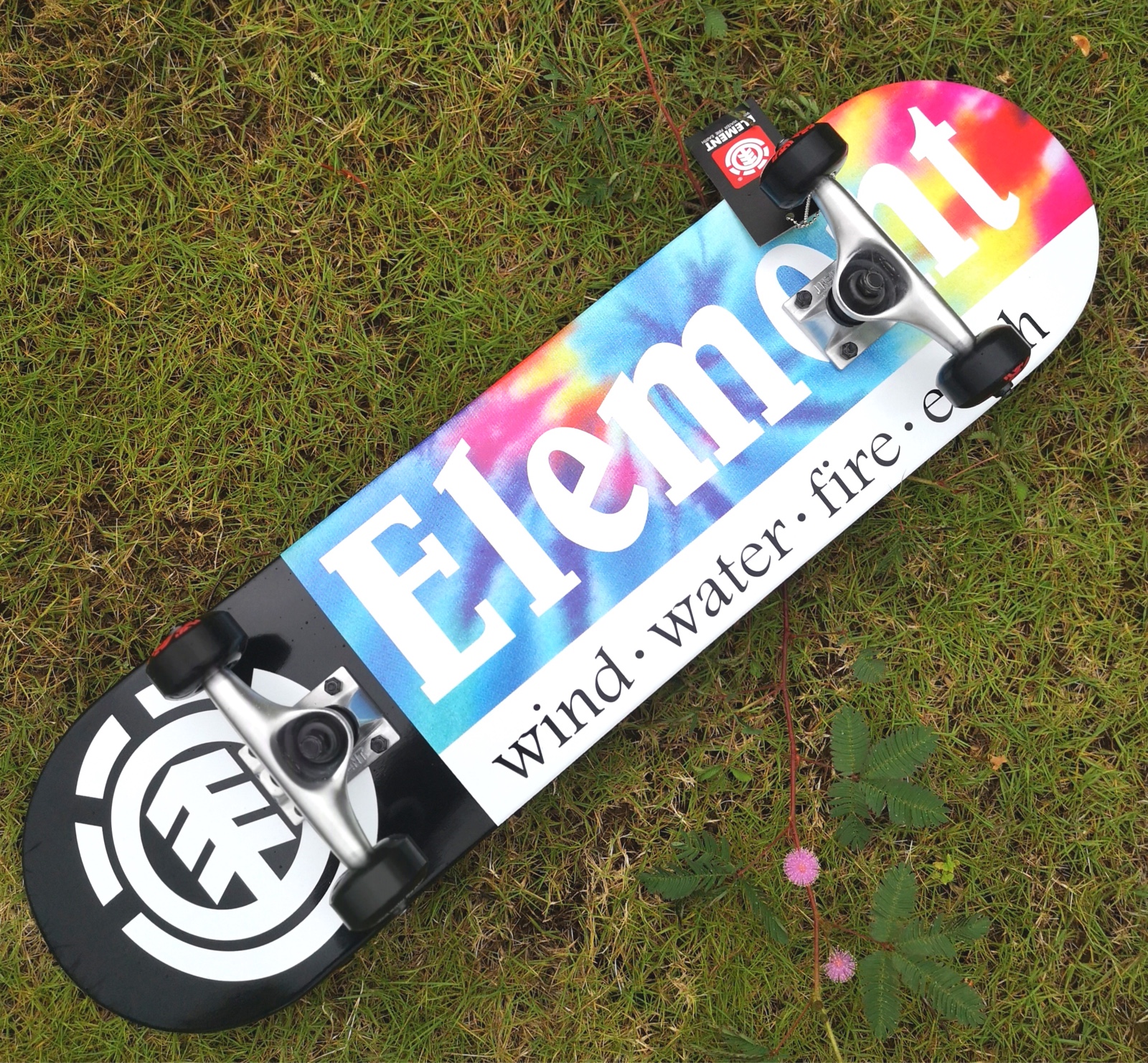 ELEMENTÃÀ¹ú½ø¿ÚË«ÇÌ»¬°å¾µä¿î³õѧ×é×°°åÕû°åË¢½Ö°å´ú²½