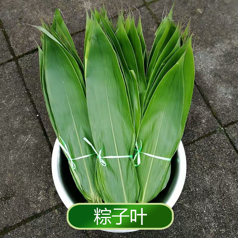 贵州粽子叶50张野生粽粑叶