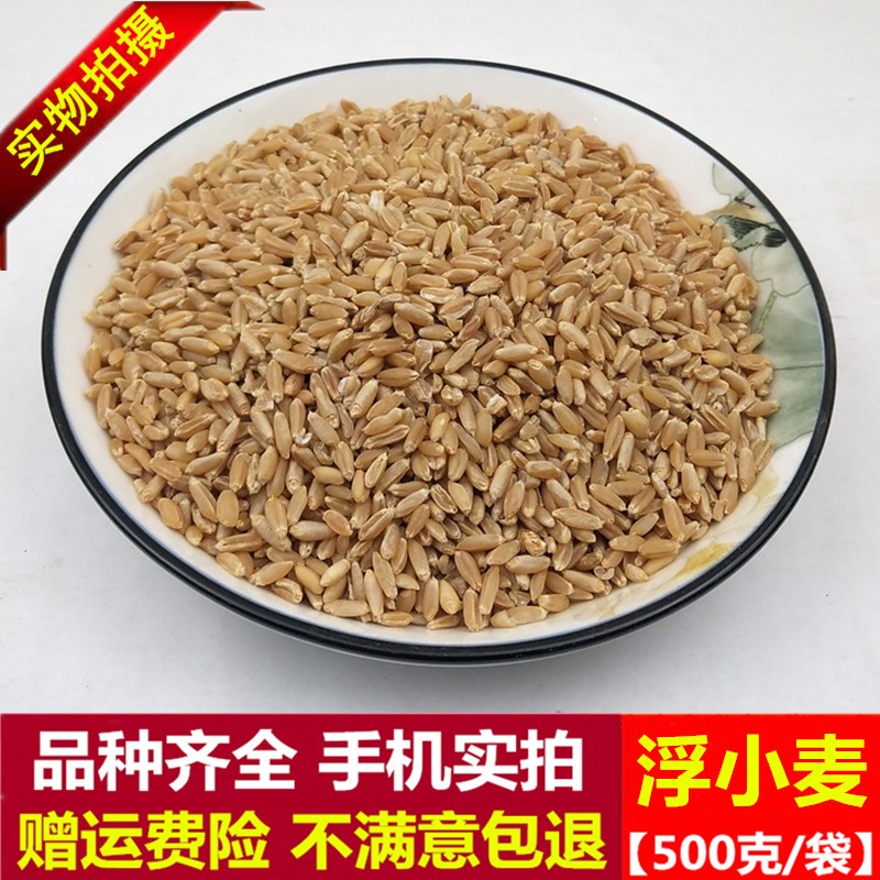 中药材正品特级浮小麦止汗浮麦茶干瘪小麦茶500g克搭甘草红枣黑豆