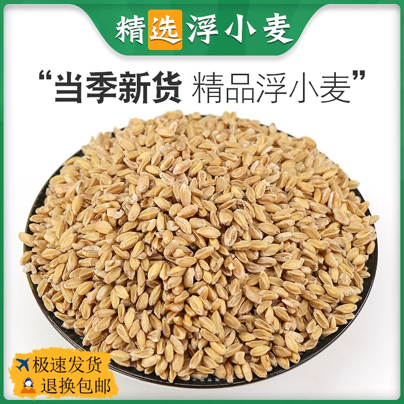 浮小麦小麦仁干瘪小麦米浮麦浮水麦浮小麦米浮小麦茶 中药材 500g