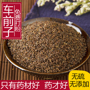 中药材正品新货野生车前子粉500g克精选干净车钱草籽车前实中草药