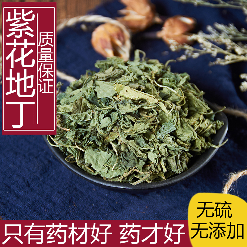 正品中药材紫花地丁草苦地丁草