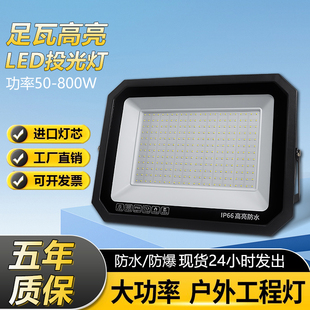 LED戶外照明庭院室外防水探照路燈工程工業車間廠房廣告投光射燈