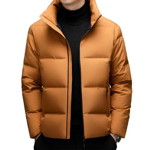 短款聚酯纤维长袖拉链款150g(含)-200g(不含)羽绒服