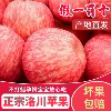 主图