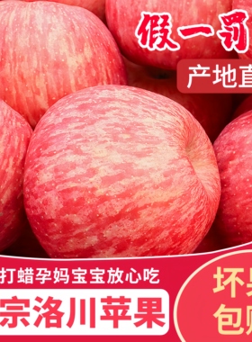 正宗陕西洛川苹果红富士新鲜当季孕妇水果时令脆甜陕西一级果10斤