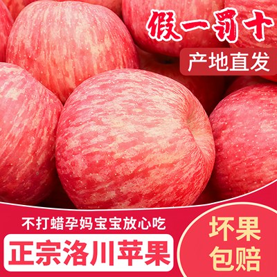【5A品质】正宗洛川苹果产地直发