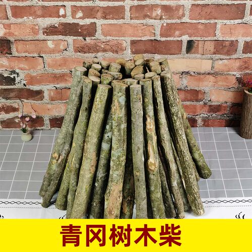 外层青冈树篝火木柴燃烧久露营