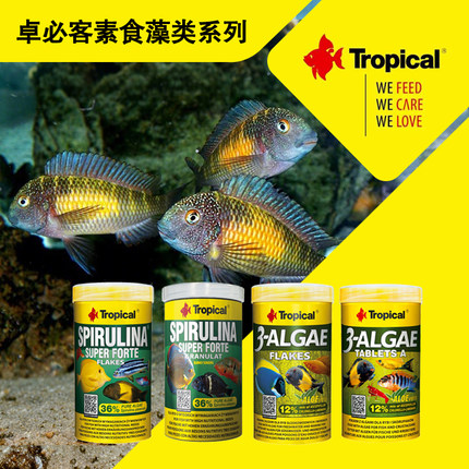 波兰卓必客36%螺旋藻薄片贴片三湖慈鲷蝴蝶岩栖吊类素食饲料鱼粮