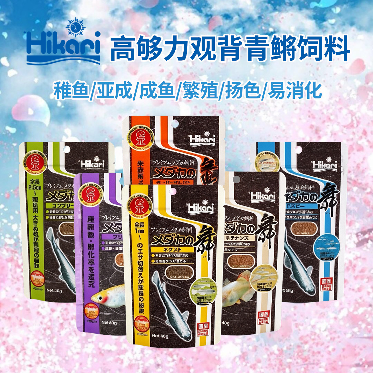 日本高够力观背青鳉鱼饲料上浮型图片