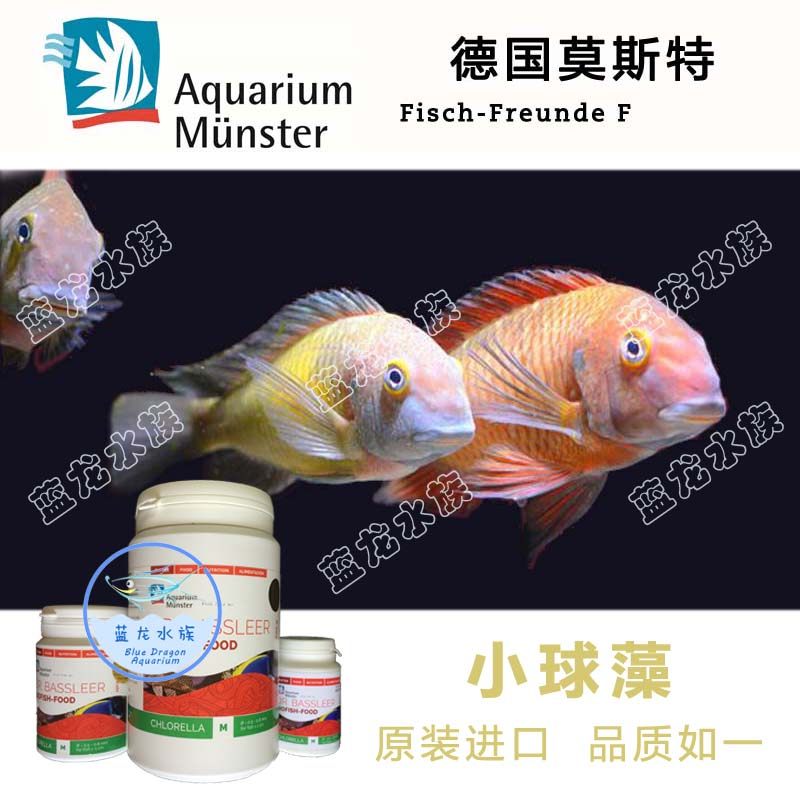 德国莫斯特小球藻鼠鱼素食三湖慈鲷蝴蝶狐狸龙王底栖南美异型饲料