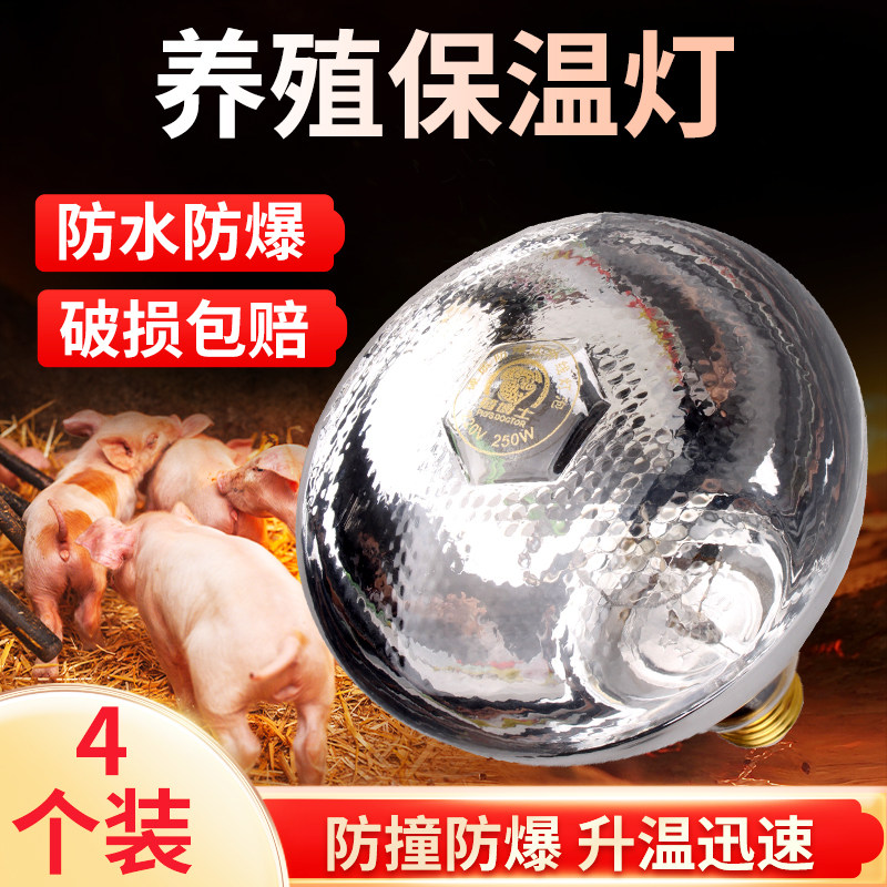 猪用保温灯养殖场专用图片
