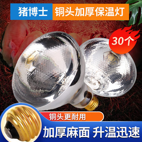 仔猪保温灯防爆红外线节能灯泡