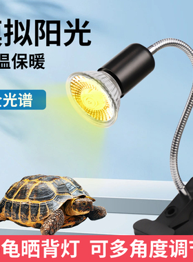 乌龟爬宠晒背灯取暖加热保温太阳灯灯泡宠物乌龟灯架芦丁鸡保温灯