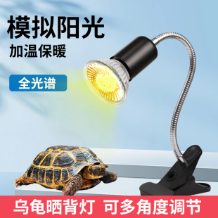 乌龟爬宠晒背灯取暖加热保温太阳灯灯泡宠物乌龟灯架芦丁鸡保温灯