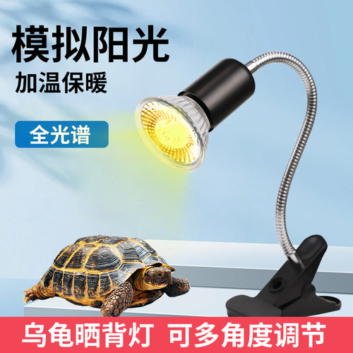 乌龟爬宠晒背灯取暖加热保温太阳灯灯泡宠物乌龟灯架芦丁鸡保温灯