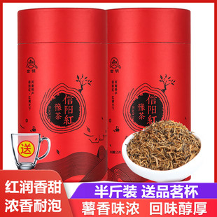 世明信阳红2025新茶叶毛尖嫩芽薯香味浓自产自销河南特产250g