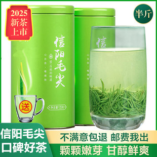 世明信阳毛尖2025新茶叶明前特级嫩芽浓香型春茶毛尖绿茶散装250g