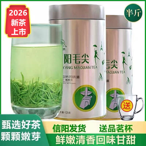 信阳毛尖2026新茶明前嫩芽250g