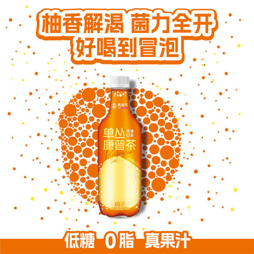 【新品】有丛气清爽解腻0脂柚子单丛康普茶饮料500ml果汁汽泡茶