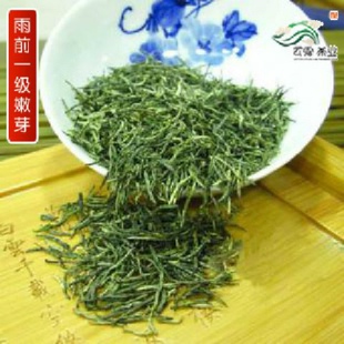 茶叶信阳毛尖2025年新茶叶雨前一级嫩芽浓香型雨前茶茶农自销500g