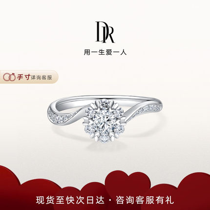 DRBELIEVE拥爱捧花求婚钻戒结婚钻石铂金戒指群镶克拉官方WJ0017