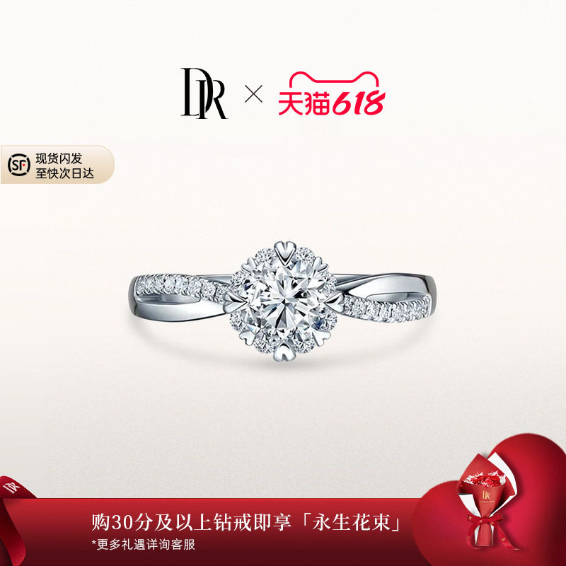 DRBELIEVE系列雪中拥吻求婚钻戒钻石戒指女戒婚戒群镶WJ0067