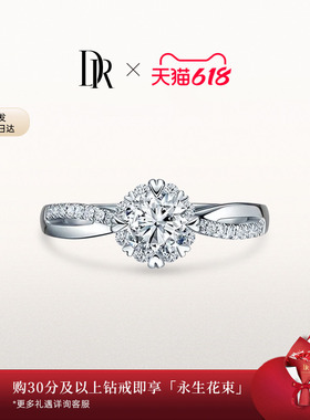 DRBELIEVE系列雪中拥吻求婚钻戒钻石戒指女戒婚戒群镶WJ0067