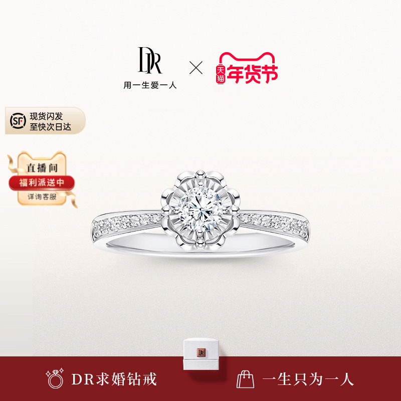 DRBELIEVE雪心印记简奢款求婚钻戒女群镶结婚钻石戒指铂金WJ0117