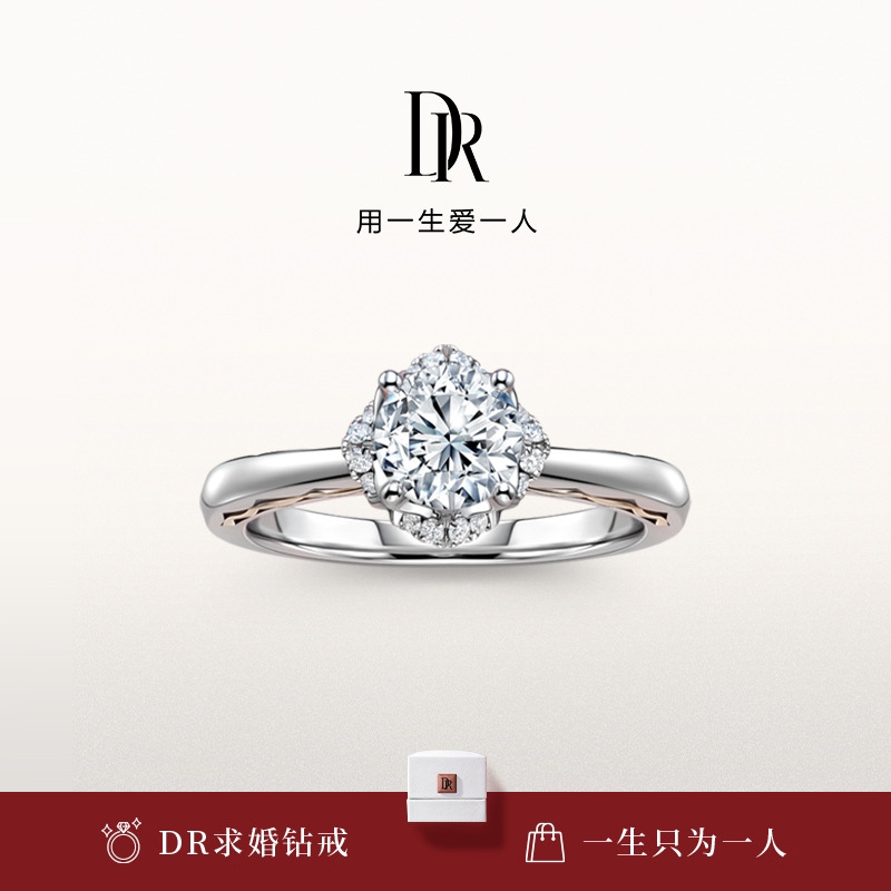 DRLOVEPALACE系列繁华求婚钻戒