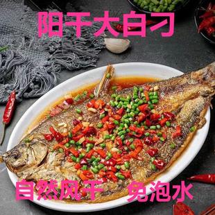 湖北土特产阳干大白刁子鱼农家手工制作风干咸鱼腌制淡水鱼翘嘴鱼