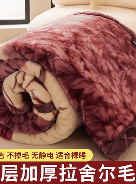 拉舍尔毛毯被子冬季加厚盖毯珊瑚绒午睡沙发小毯子办公室披肩铺床