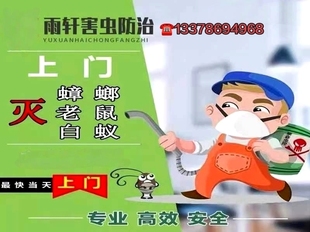 同城上门灭鼠除四害除鼠灭蟑螂白蚁防治清理死老鼠灭臭虫灭跳蚤